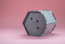 Afbeelding in Gallery-weergave laden, Cat HONEY