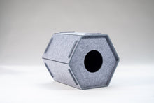 Afbeelding in Gallery-weergave laden, Cat HONEY