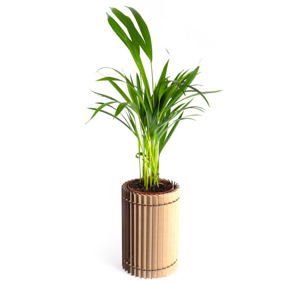 houten planten pot