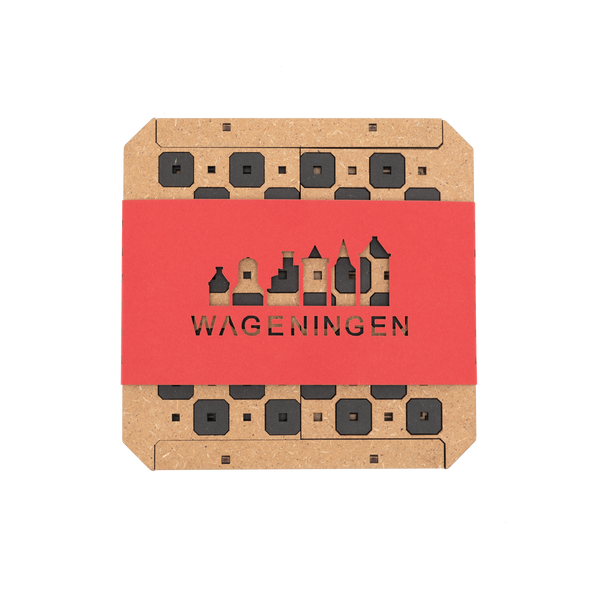 Wageningen chess set