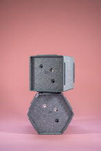 Afbeelding in Gallery-weergave laden, Cat HONEY

