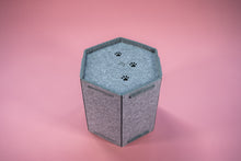 Afbeelding in Gallery-weergave laden, Cat HONEY
