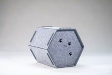 Afbeelding in Gallery-weergave laden, Cat HONEY

