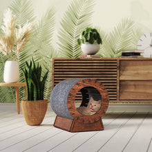 Afbeelding in Gallery-weergave laden, Kattenhuisje rondo
